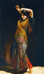 The Flamenco Dancer